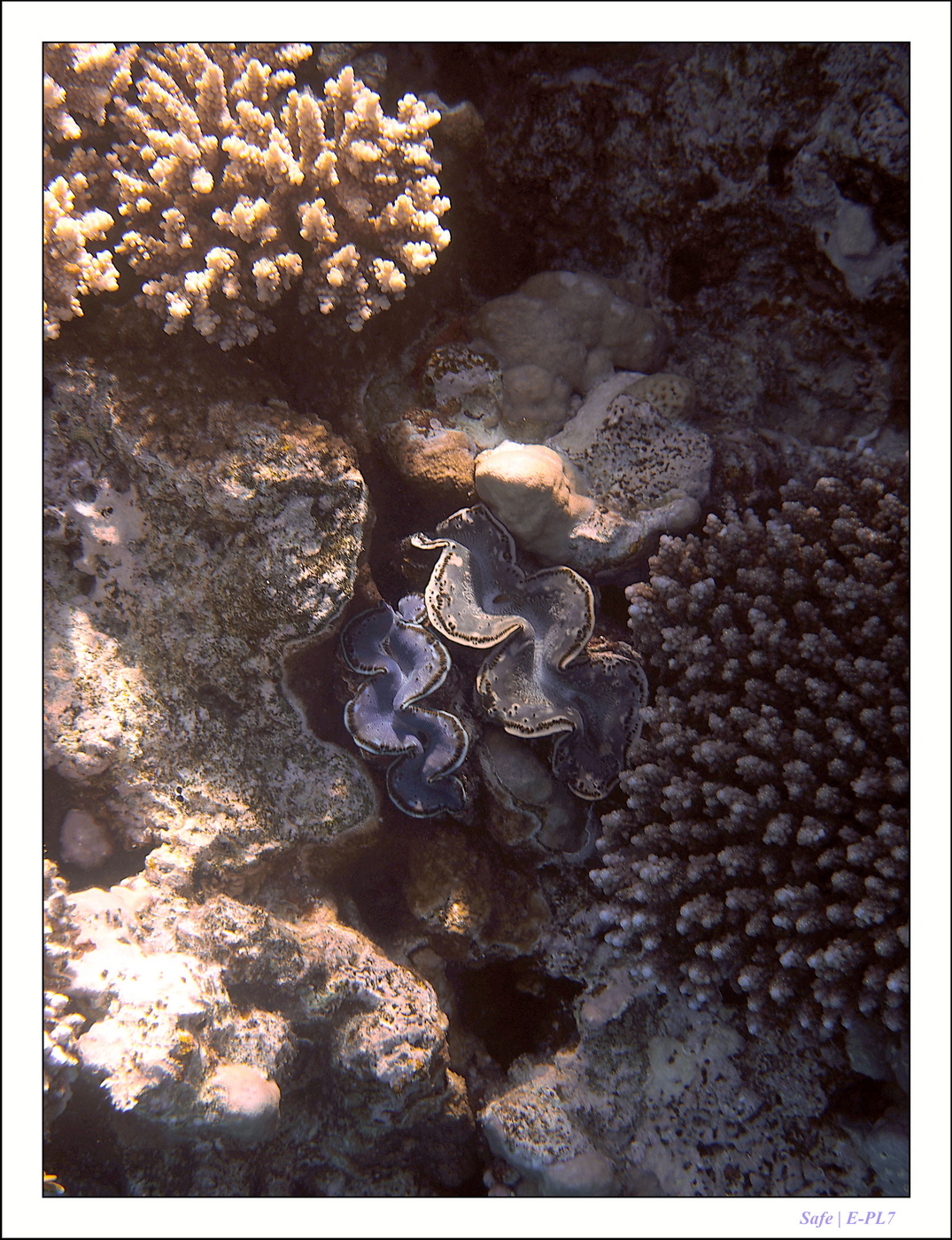 2023 - 03 - Charm El Sheikh - 49